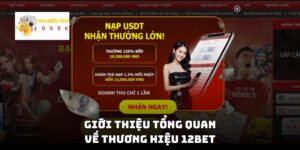 Giới thiệu tổng quan về thương hiệu 12BET