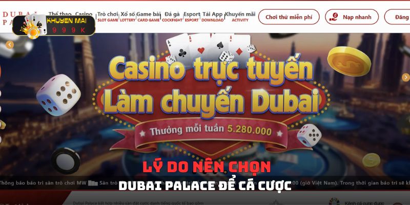 Lý do nên chọn Dubai Palace để cá cược