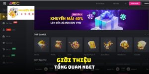 Giới thiệu tổng quan về thương hiệu Nbet